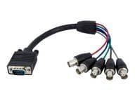 StarTech.com Kabel / Adapter VGABNCMF1 4