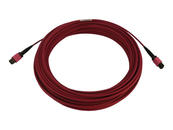 Tripp Kabel / Adapter N845B-20M-12-MG 3