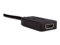StarTech.com Kabel / Adapter DP2HDMI 5