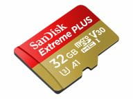 SanDisk Speicherkarten/USB-Sticks SDSQXBG-032G-GN6MA 1