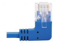 Tripp Kabel / Adapter N204-S01-BL-RA 3