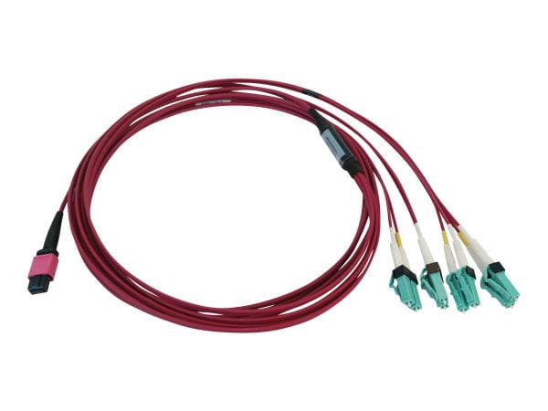 Tripp Kabel / Adapter N845X-03M-8L-MG 4