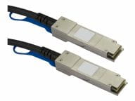 StarTech.com Kabel / Adapter SFP10GAC7M 1