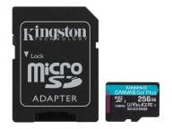 Kingston Speicherkarten/USB-Sticks SDCG3/256GB 1