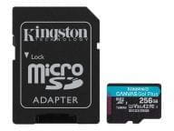 Kingston Speicherkarten/USB-Sticks SDCG3/256GB 2