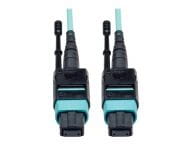 Tripp Kabel / Adapter N844-02M-12-P 1