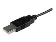 StarTech.com Kabel / Adapter USBAUB2MBK 3