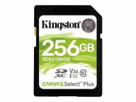 Kingston Speicherkarten/USB-Sticks SDS2/256GB 1