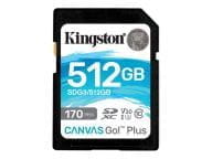 Kingston Speicherkarten/USB-Sticks SDG3/512GB 2