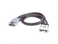 APC Kabel / Adapter SYOPT4I 2