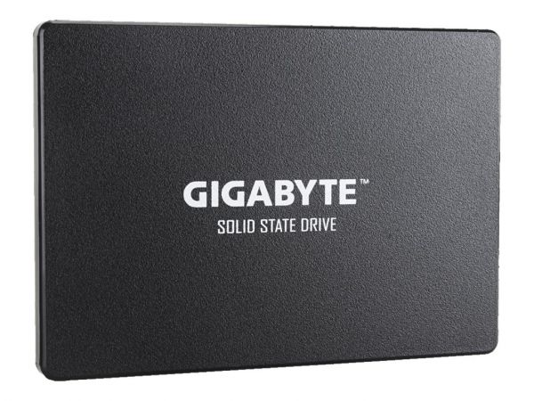 Gigabyte SSDs GP-GSTFS31240GNTD 2