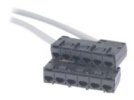 APC Kabel / Adapter DDCC5E-007 3