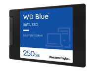 Western Digital (WD) Festplatten WDS250G2B0A 1