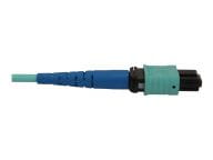 Tripp Kabel / Adapter N846B-10M-24-P 2