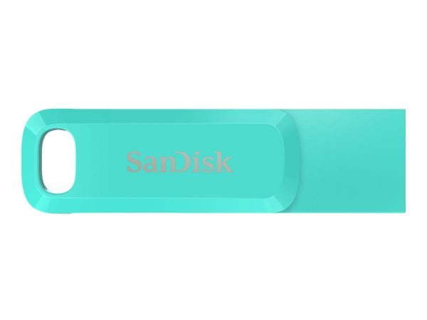 SanDisk Speicherkarten/USB-Sticks SDDDC3-256G-G46G 3