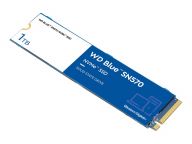 Western Digital (WD) Festplatten WDS100T3B0C 1