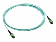 HPE Kabel / Adapter P49765-B26 1