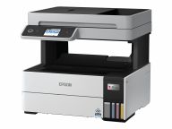 Epson Multifunktionsdrucker C11CJ89402 3