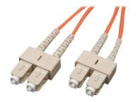Tripp Kabel / Adapter N306-001 1