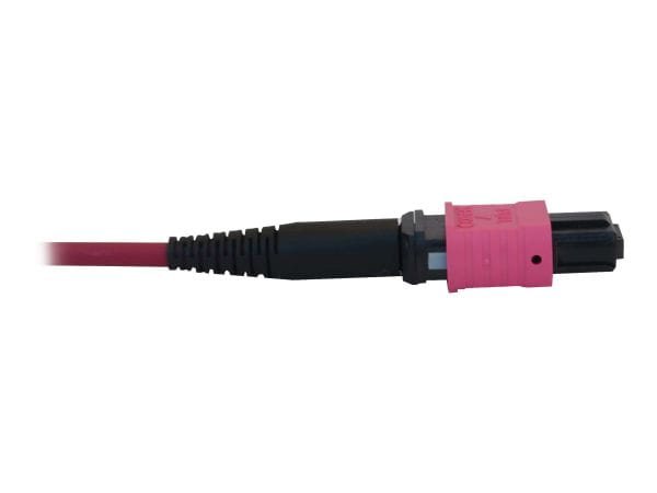 Tripp Kabel / Adapter N845X-01M-8L-MG 2