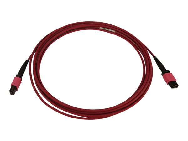 Tripp Kabel / Adapter N845B-03M-12-MG 4