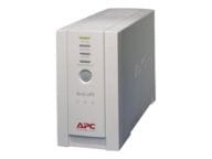 APC Stromversorgung (USV) BK500 1