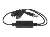 StarTech.com Kabel / Adapter USBPS2PC 4