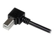 StarTech.com Kabel / Adapter USBAB1MR 3