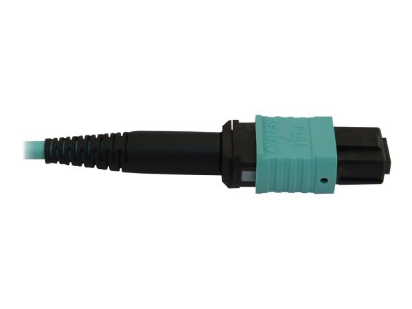 Tripp Kabel / Adapter N844B-10M-12-P 3