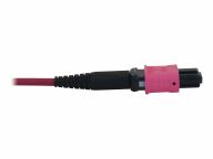 Tripp Kabel / Adapter N845B-03M-12-MG 2