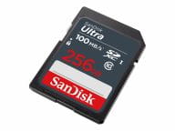 SanDisk Speicherkarten/USB-Sticks SDSDUNR-256G-GN3IN 1