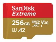 SanDisk Speicherkarten/USB-Sticks SDSQXAV-256G-GN6MA 1