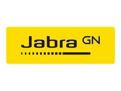 Jabra Kabel / Adapter 8800-00-69 2