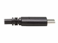 Tripp Kabel / Adapter U428-20N 3