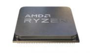 AMD Prozessoren 100-000000263 1